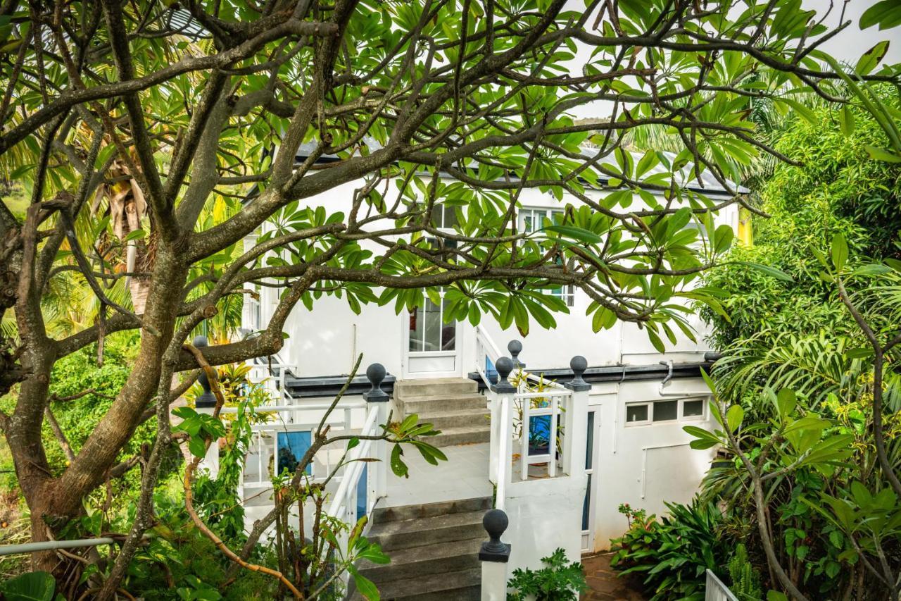 La Villa Allamanda Gravier Экстерьер фото