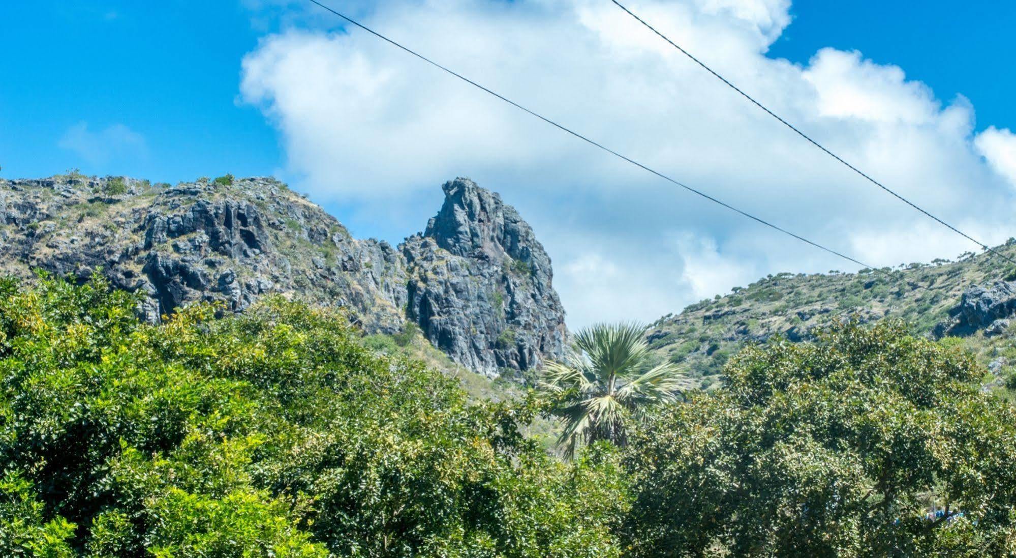 La Villa Allamanda Gravier Экстерьер фото
